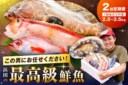 【定期便】どんちっち浜田【極み】鮮魚 2回コース～最高級この男シリーズ～海鮮 鮮魚 詰め合わせ【006_2051】