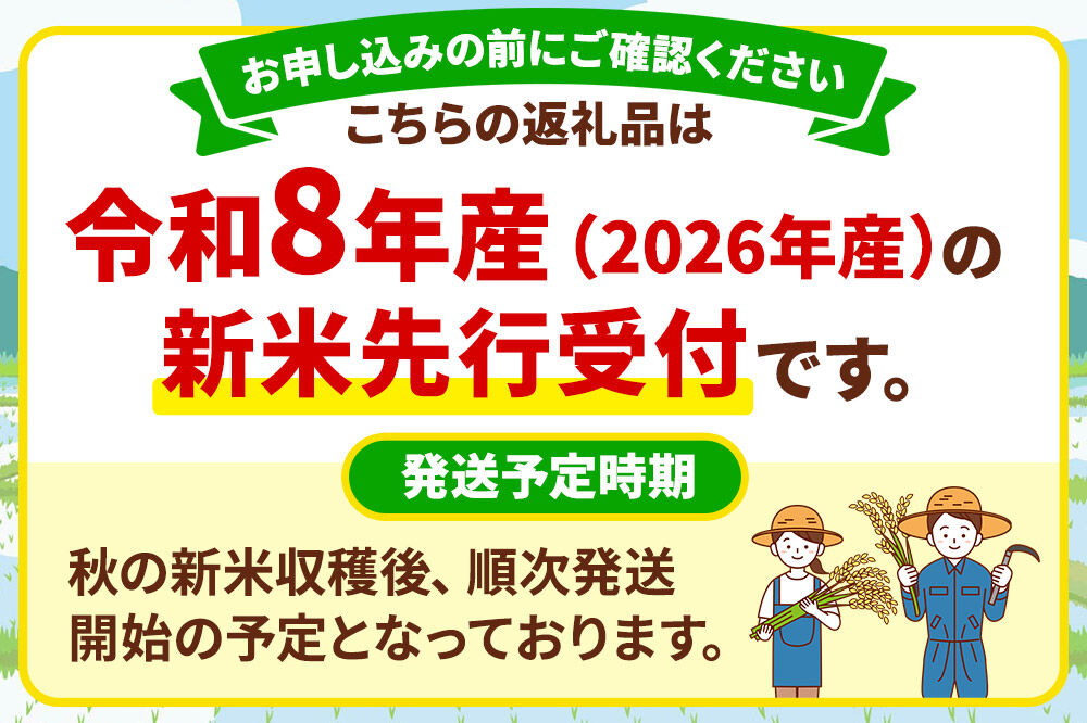 《令和8年産 新米受付》【白米】《定期便9ヶ月》特別栽培米 あきたこまち 5kg 秋田県 横手市 [新米 先行予約 秋田県産 あきたこまち 秋田こまち 米 お米 こめ]