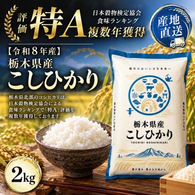 ふるさと納税 真岡市 【令和8年産】栃木の豊かな自然で育んだふっくらあま〜いこしひかり 約2kg(精米)　