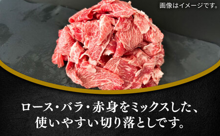 佐賀牛切り落とし600g（ロース・バラ・赤身） / 佐賀県 / 田中畜産牛肉店 [41ARAA009]