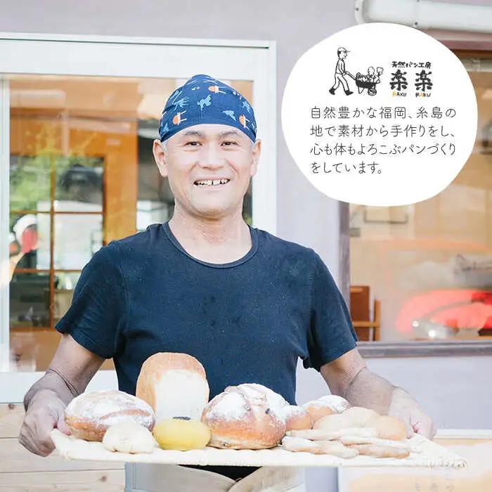 【 全6回 定期便 】できたてもっちり♪ かわいい 米粉 プチ パン キット 3袋 ( 3回分 )  ( 粉類の 計量不要 ！)《糸島》【天然パン工房楽楽】【いとしまごころ】[AVC030]