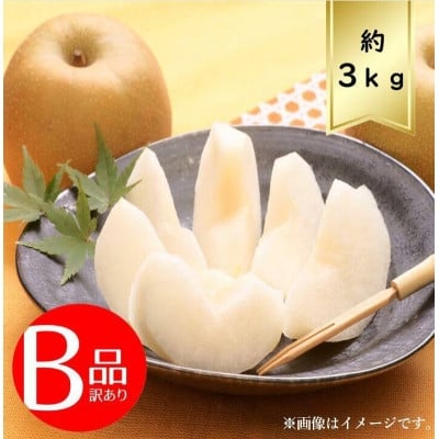 
            ＜3kg＞栃木県小山市産B級品　にっこり　梨【1617303】
          