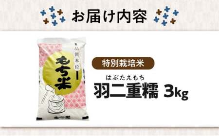 滋賀県産【特別栽培米】羽二重糯（はぶたえもち）3kg　滋賀県長浜市/株式会社ＴＰＦ[AQCQ007] もち米 もち米 もち米 もち米 もち米