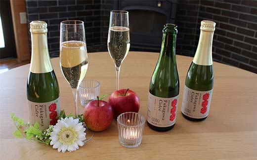 ふかがわシードル375ml 3本セット 北のハイグレード食品 北海道 深川 国産シードル 林檎のお酒 りんご酒 果実酒 おしゃれギフト プレゼント お取り寄せ クラフトシードル スパークリングシードル