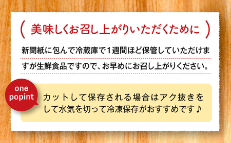 【2026年度発送分 先行予約】有機（オーガニック）泥付き蓮根2kg / 佐賀県 / 吉田農園 [41AHAE001]