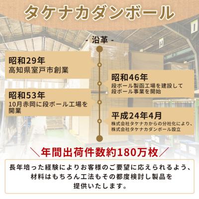 ふるさと納税 香南市 【7日程度で発送】テープレスケース(ネコポスサイズ) 40枚 ta-0050 |  | 03