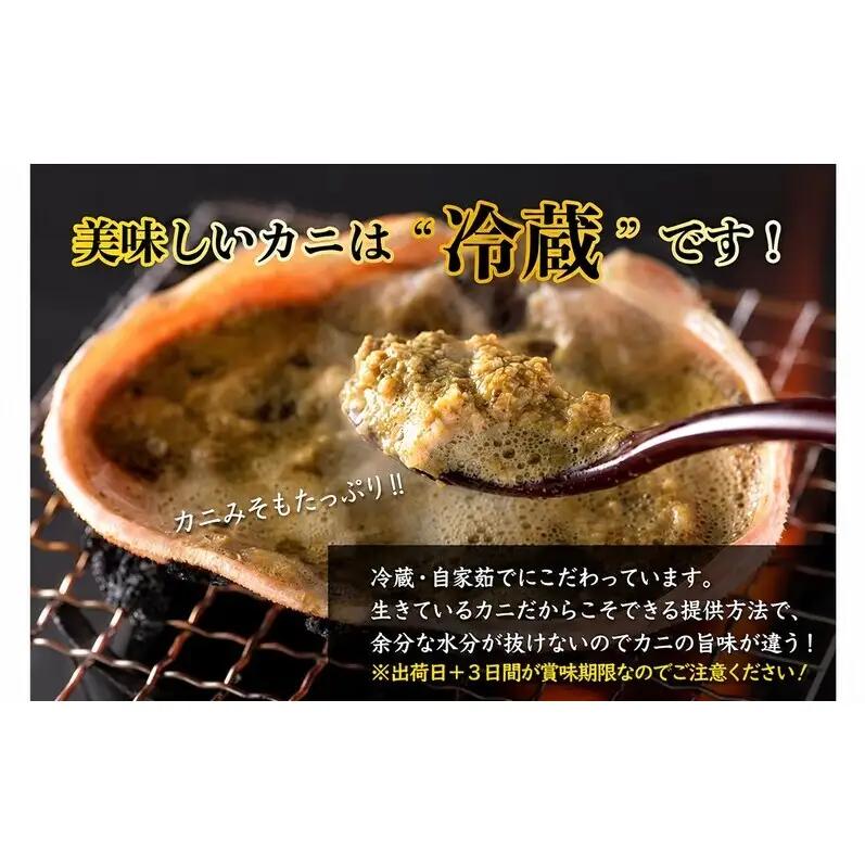 【1月出荷】かに 越前ガニ 訳あり 1本足折れ 600g～800g ボイル  茹で 越前がに 越前かに ずわいがに ズワイガニ カニ 姿  蟹鍋 献上ガニ 産地直送 お歳暮 福井県おおい町 ギフト
