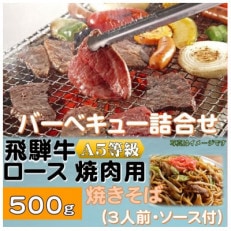 飛騨牛ロース5等級500g・焼きそば3人前(ソース付)　バーベキューセット