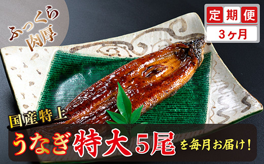 
【定期便３回】国産！特上うなぎのかば焼き 約250g × 5尾 × 3回お届け （毎月お届け）
