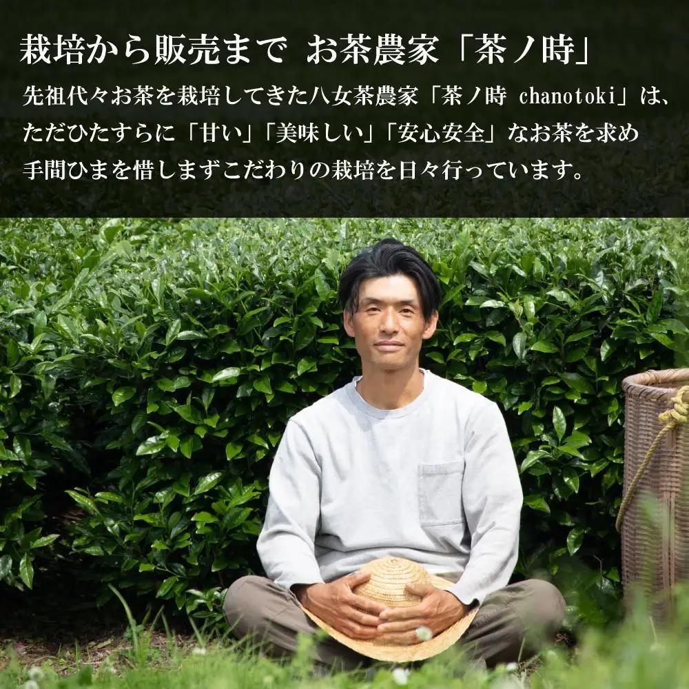 原田茶園 極上煎茶ティーバッグ 麗至 2袋(56g/14包)【八女茶】