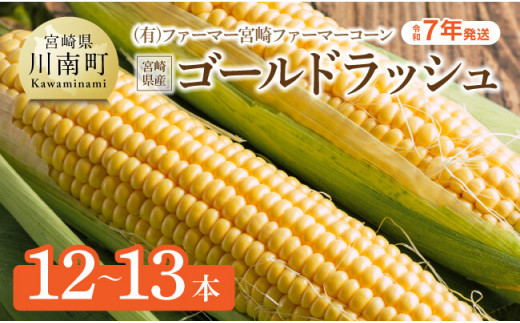 【令和7年発送】宮崎県産とうもろこし　ファーマー宮崎 ファーマーコーン「ゴールドラッシュ」12～13本【 先行予約 数量限定 とうもろこし 2024年発送 トウモロコシ スィートコーン 期間限定 先行受付 】