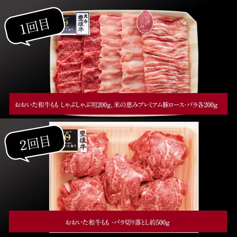 【定期便】大分県産黒毛和牛（おおいた和牛）・米の恵みプレミアム豚 バラエティ定期便 毎月6回お届け A01081