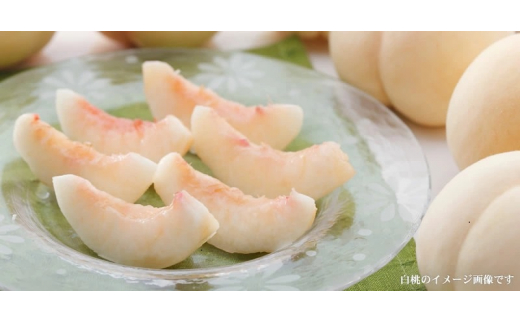 和歌山の桃 秀品 [約3.8～4kg] (サイズ・品種おまかせ) 紀伊国屋文左衛門本舗 和歌山 もも モモ 桃 果物 フルーツ 人気 産地直送 和歌山県 お取り寄せ【sutb800B】