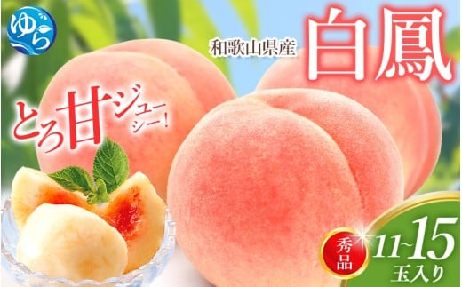 桃 和歌山県産 白鳳 11～15玉 秀品 ※2026年6月下旬～発送 もも　桃 くだもの 甘い 特選 和歌山【mtgn045】