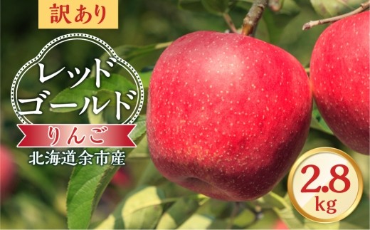 
                  【先行予約：2026年10月中旬より発送】訳アリ りんご（レッドゴールド）2.8kg【北海道余市町産】
                