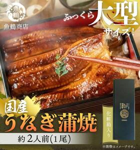 鰻 大型サイズ 　ふっくら柔らか国産うなぎ蒲焼き　１尾（約２人前）化粧箱入