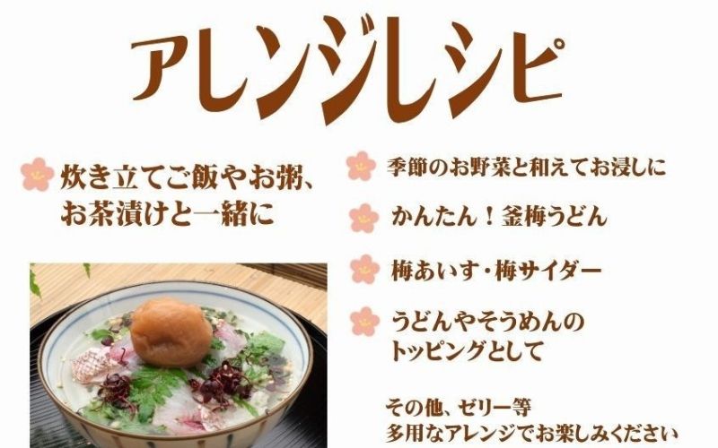 ご家庭用 大容量 紀州南高梅 しそ漬 つぶれ 塩分約15％ 700g×2  yamada006A