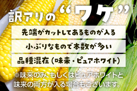 《7月下旬～9月中旬発送》【訳あり】とうもろこし おまかせセット約3kg（7～11本／品種の本数おまかせ）
