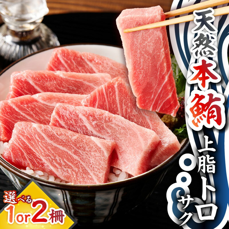 【ふるさと納税】＜選べる＞ 天然本鮪 上脂トロサク 1柵 or 2柵 マグロ 鮪 本まぐろ トロ 中トロ 大トロ 刺身 魚 魚介 海鮮 冷凍 おいしい 天然 アイルランド産 柵 使いやすい 便利 くせがない テイ・エス・シイ 神奈川県 三浦市 おすすめ ランキング プレゼント ギフト