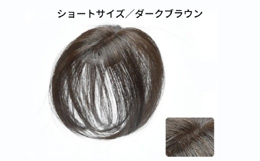 ヘアメイト チャチャ　ショートダークブラウン［ワンポイントウィッグ］ チャチャテープ1本・専用コーム付き 【ウィッグ ワンポイント ヘアスタイル 簡単お手入れ 軽量 オリジナル人工毛 美容】
