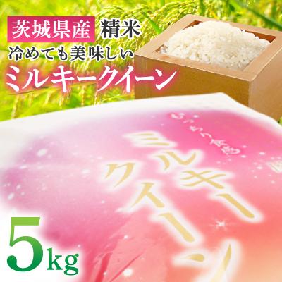 ふるさと納税 土浦市 【令和6年産】 精米 ミルキークイーン 5kg 茨城県産 順次発送 冷めても美味しいお米