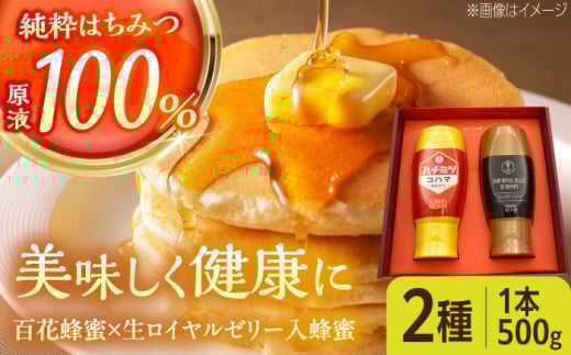 コハマのハチミツ 500g 2本セット 蜂蜜 はちみつ ハチミツ 国産 ギフト 沖縄市 / 農業生産法人株式会社小浜養蜂場 [BCAQ004]