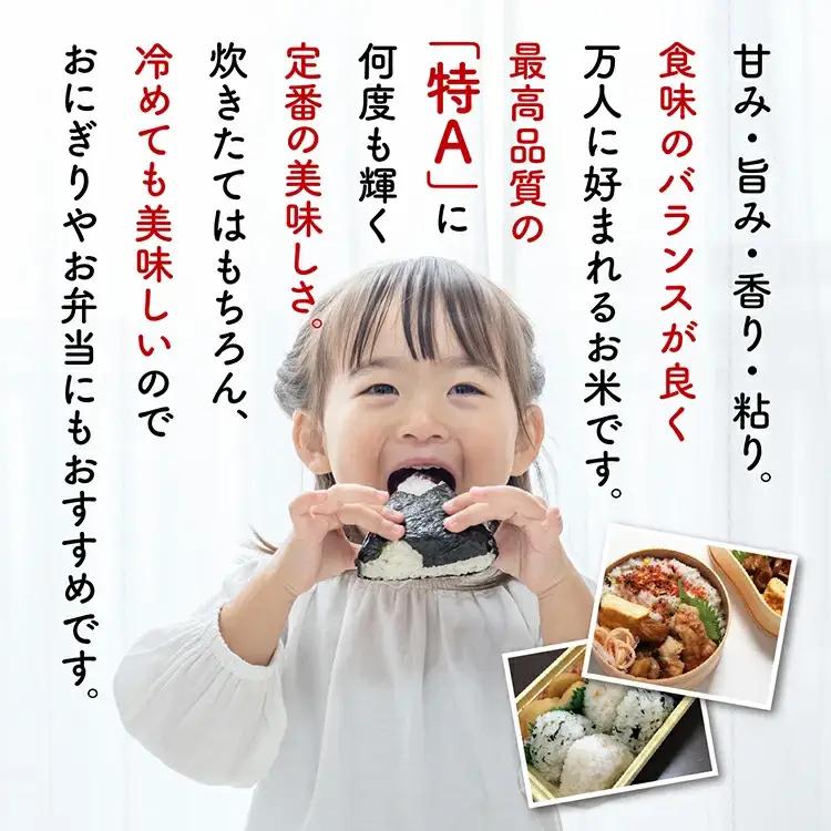 【定期便3回】潟上市産あきたこまち（精米）10kg × 3ヶ月【鐙惣米穀店】