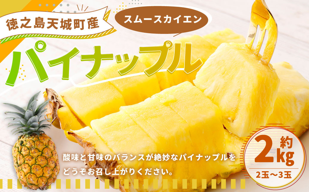 
                  【先行受付】徳之島 天城町産 パイナップル 約2kg （2玉～3玉） パイン 果物 フルーツ 果実
                