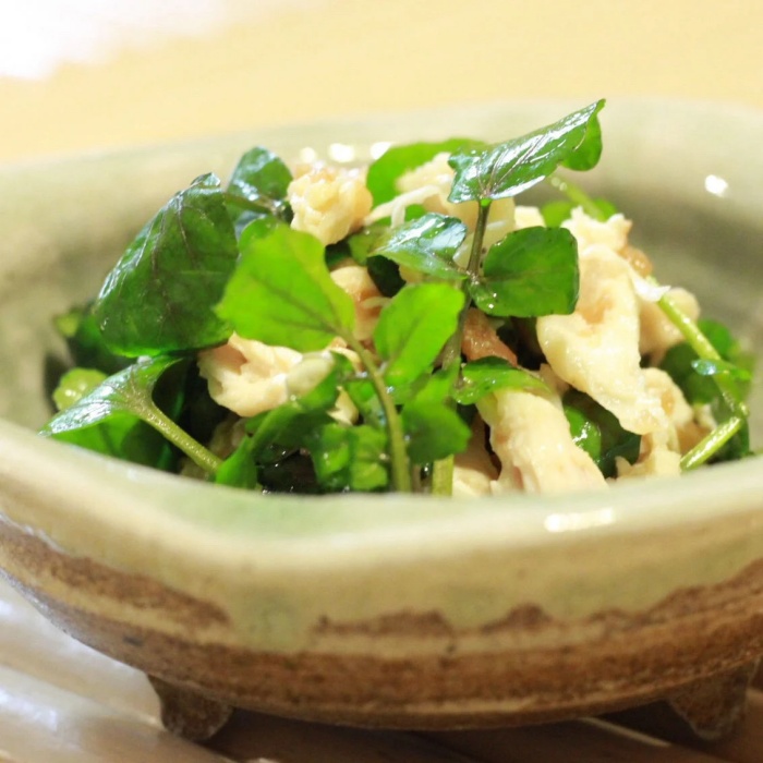 愛犬と泊まる源泉かけ流しの小さな湯宿 湯宿福の湯 特定日限定宿泊券１泊２食付き１室２名様ご利用 1401 ／ 福の湯 静岡県 東伊豆 伊豆 愛犬 ペット