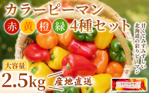 【2.5kg】カラーピーマンセット