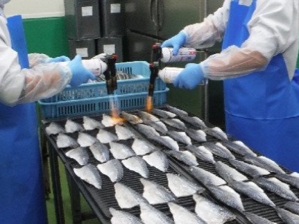 三陸 炙り〆サバ  80g×100個 炙りしめサバ