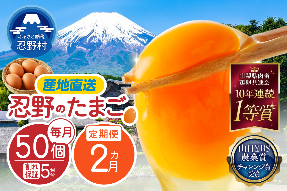 【2ヶ月定期便】富士山の麓で育った産地直送 ”忍野の卵”※卵45個+割れ保証5個　計100個