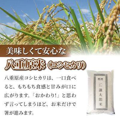 ふるさと納税 東御市 【令和7年産】八重原産コシヒカリ白米2kg 特別栽培米(減農薬・減化学肥料栽培)【太陽と大地】 |  | 01
