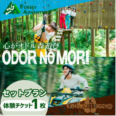 【ふるさと納税】オドルの森 セットプラン【カモシカバギー+フォレストアドベンチャー】1名様利用券【1672988】