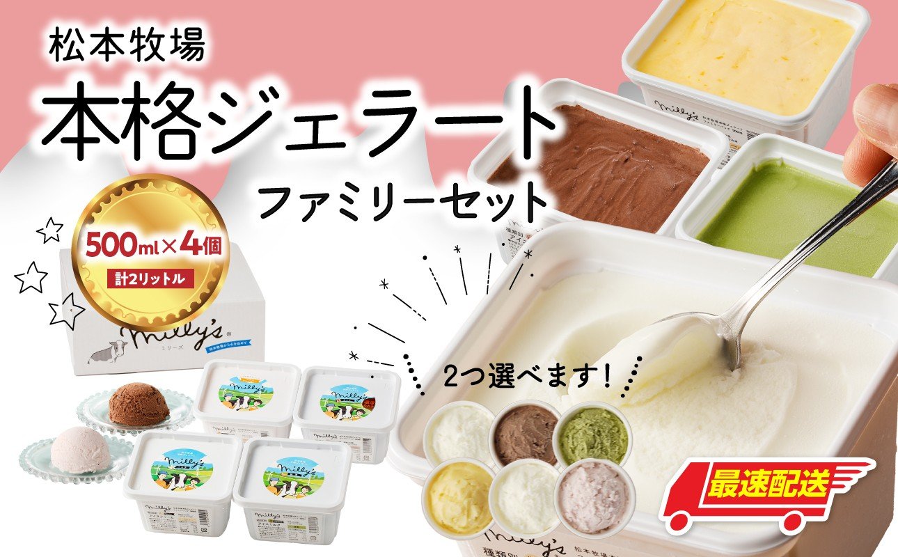 
            【お好みのフレーバー選べます！】松本牧場　本格ジェラートファミリーセット（500ml×4個　計2L）選べる 全6種類  生乳 アイス 業務用 贅沢 ジェラート デザート スイーツ アイスクリーム 菓子 ４個 セット ミルク いちごミルク 抹茶 バニラ チョコ みかんシャーベット 佐賀県 玄海町
          