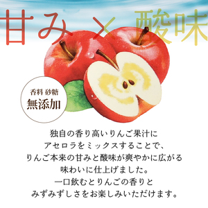 【3ヶ月定期便】ビタミンフルーツ りんごMix 100% 200ml 24本 伊藤園 紙パック [h132]