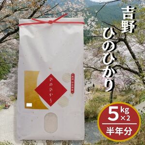 白米 【6回定期便】ひのひかり10kg [BRBN007] 白米