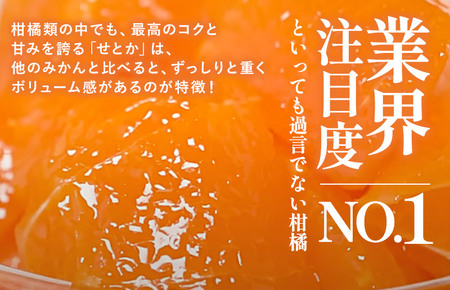 せとか家庭用（1kg） [K003710K1] 人気商品 国産 高級フルーツ 人気商品 みかん 柑橘 フルーツ 果物 乃万青果 のま果樹園 せとか 高級柑橘