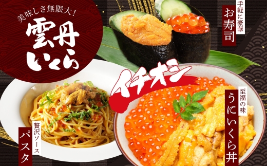 2497. 無地熨斗ウニ チリ産 冷凍 雲丹 うに 100g×2個 いくら醤油漬け 200g×1個 二色丼 イクラ 海鮮丼 うに丼 いくら丼 いくら 熨斗 のし 名入れ不可 贈り物 贈答用 送料無料 