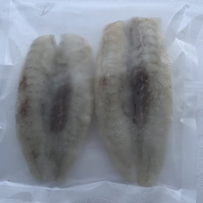 【訳アリ】真フグ一夜干し約500g【配送不可地域：離島】