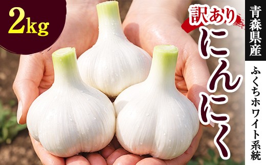 ≪訳あり≫ にんにく (ふくちホワイト系統) 2kg 【南部宝園】 ニンニク 大蒜 AOMORI AGRI BASE 青森県 南部町 F21U-739