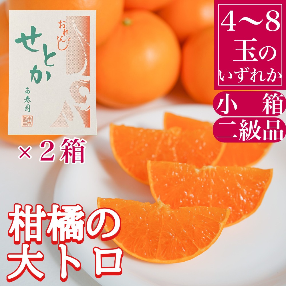 ［2箱セット］ちょっと 傷あり ハーフ 化粧箱 柑橘の大トロ ハウス せとか 4 ～ 8玉入 × 2箱 南泰園 BS169