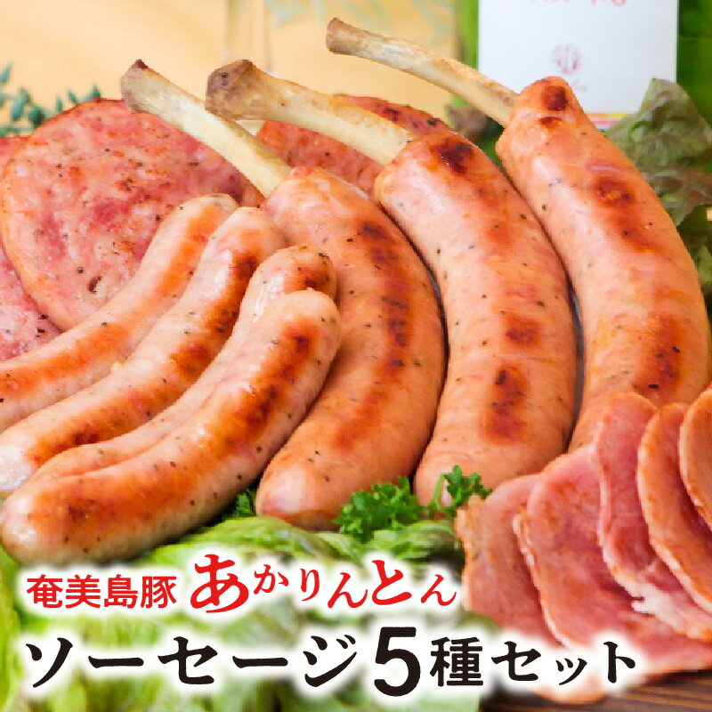 【ふるさと納税】【テレビで紹介】あかりんとん 奄美大島 豚 100％使用 オリジナル ソーセージ 5種 奄美島豚 島豚 豚肉 肉 詰め合わせ セット ハム ボンレスハム BBQ 奄美 奄美市 カイセイ グルメ キャンプ飯 お弁当 おかず お取り寄せ お取り寄せグルメ 送料無料
