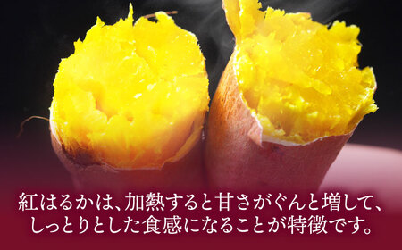 さつまいも 10kg（紅はるか）さつまいも[AGAP021]