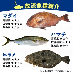 【泉南・樽井漁港】釣掘りサザン 一基貸切利用券 12名様まで 釣り堀 釣掘 貸切 海上釣堀 生簀 いけす 魚 体験 チケット フィッシング【044A-001】