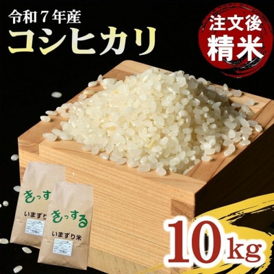 コシヒカリ 精米 10kg (5kg×2)【1753683】
