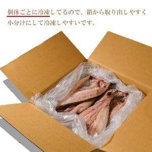 【年内配送】訳あり真ホッケ開き干し 1kg(4～6枚) 【訳あり 魚介 ほっけ ホッケ 干物 ひもの 年内お届け 宮城県 塩竈市 期間限定 家計応援 生活応援】