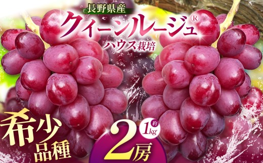 【2026年先行予約】 クイーンルージュ®（ハウス栽培） 2房 約1kg 【7月末以降発送予定】 | 果物 くだもの フルーツ 葡萄 ぶどう ブドウ  クイーンルージュ® ハウス栽培 長野県 塩尻市