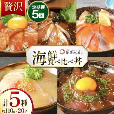 ふるさと納税 日向市 【毎月定期便】 海鮮丼 海鮮漬け丼 食べ比べ 全5回