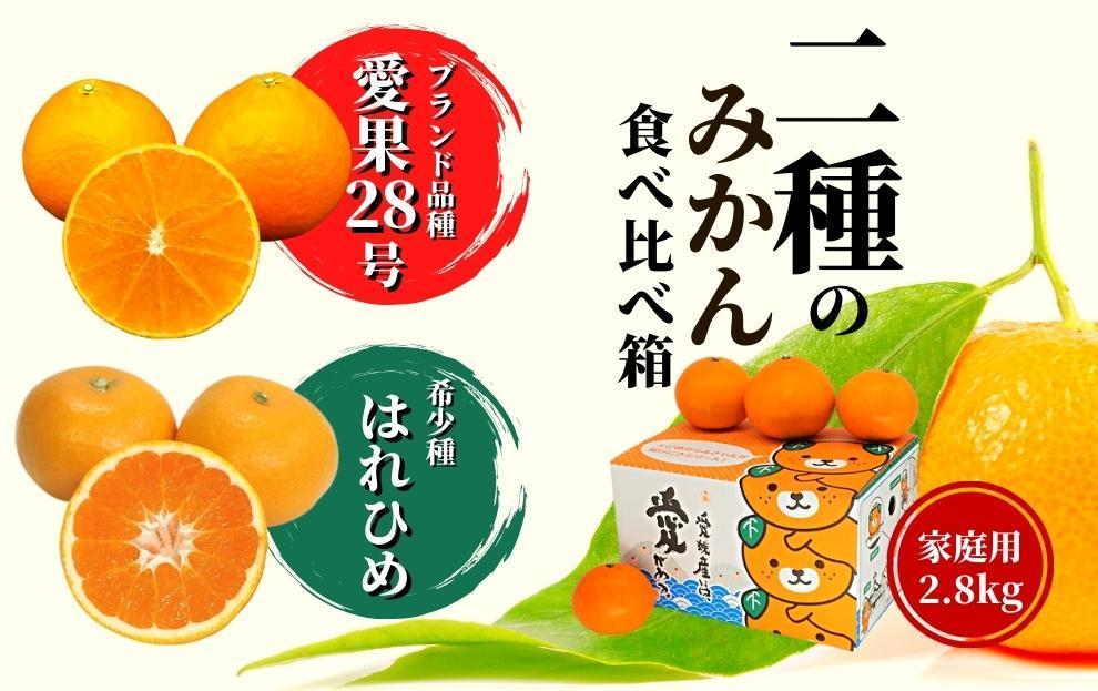 【早期予約受付中！2024年12月～順次発送】二種のみかん食べ比べ箱 愛果28号・はれひめ(家庭用)約 2.8kg